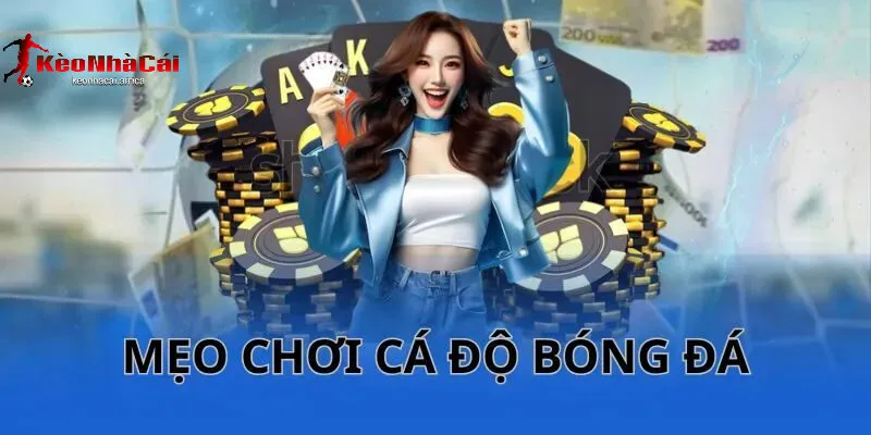 Hiểu Biết Luật Chơi – Nền Tảng Của Mẹo Cá Cược Bóng Đá Online